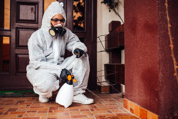Reliable Bed Bug Control contractor in Fort Loramie, OH by Nex Pest Control